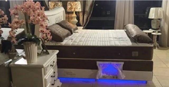 Mattress Company Makes Beds With A Special Compartment For Your Pet! Mattress Company Makes Beds With A Special Compartment For Your Pet!