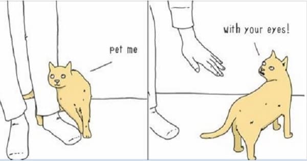 8 Comics By “They Can Talk” Which Totally Nail What Our Cats Are Thinking! 8 Comics By “They Can Talk” Which Totally Nail What Our Cats Are Thinking!