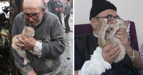 An Elderly Man Loses Everything He Has In A Fire, But His Best Friend Kitten Is There To Comfort Him! An Elderly Man Loses Everything He Has In A Fire, But His Best Friend Kitten Is There To Comfort Him!