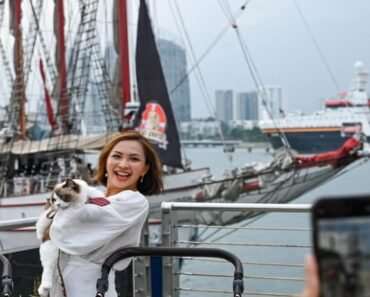 Set Sail with Your Feline: Singapore Launches the First Cat Cruise Set Sail with Your Feline: Singapore Launches the First Cat Cruise